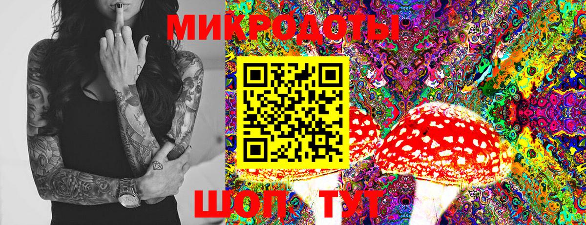 Галлюциногенные грибы Psilocybine cubensis Карпинск