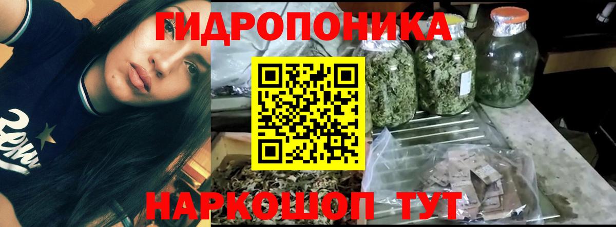Бошки марихуана конопля Карпинск